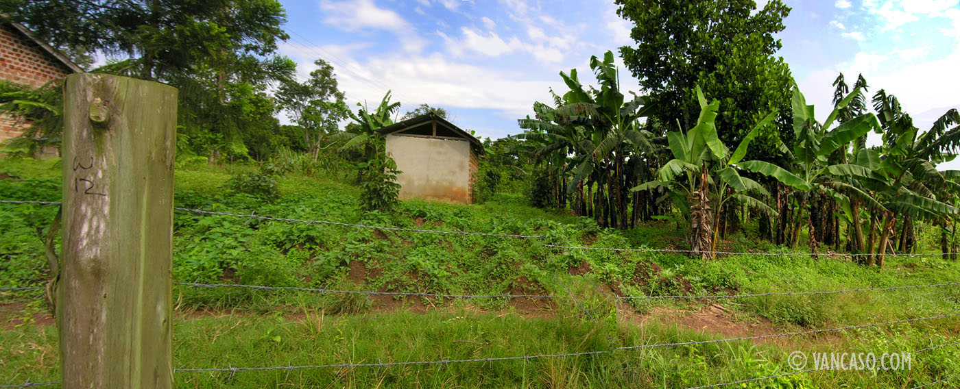 Mukono Uganda