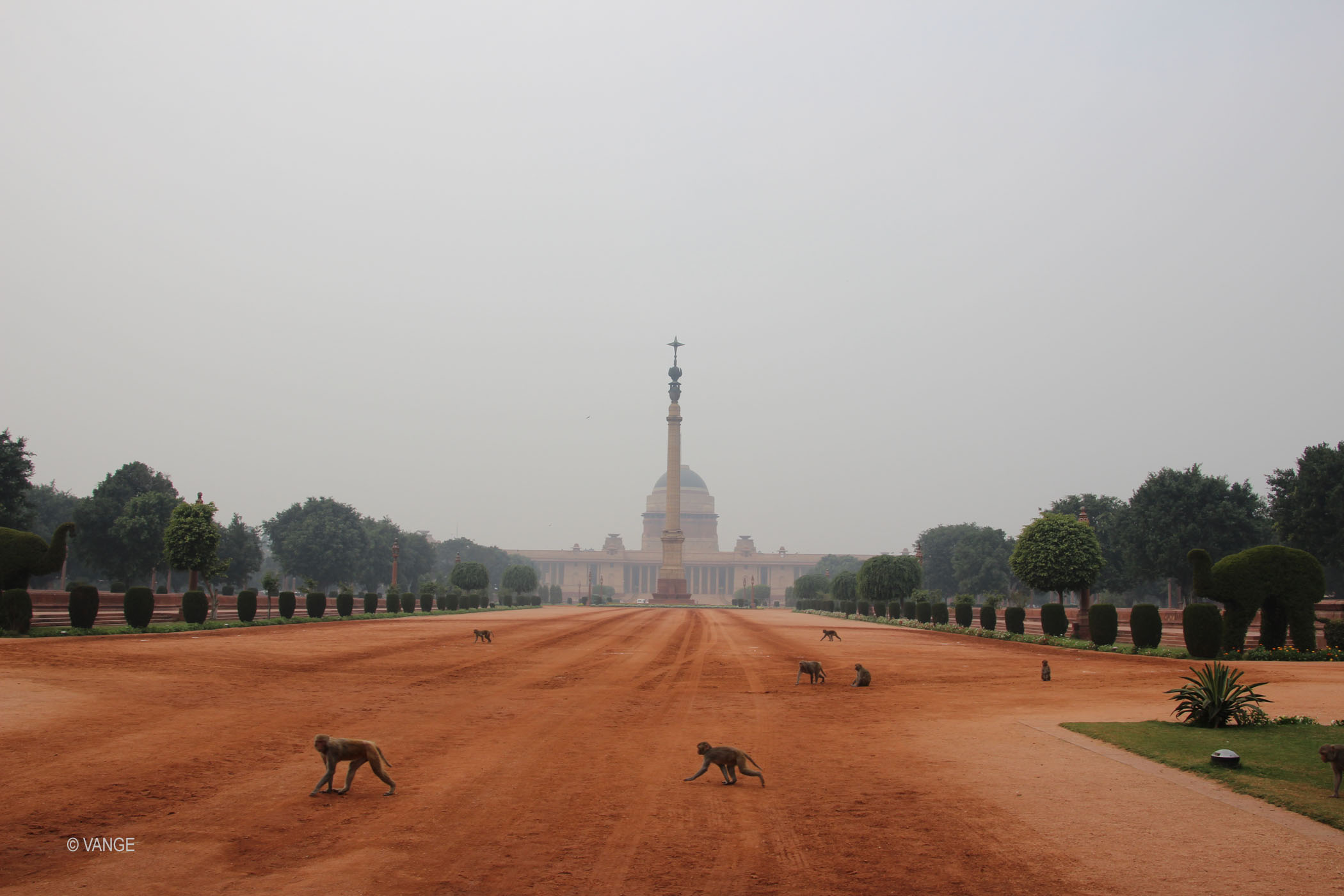 Rashtapati Bhavan
