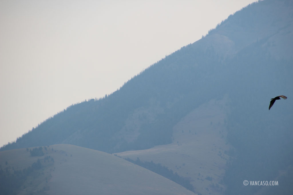Montana, USA