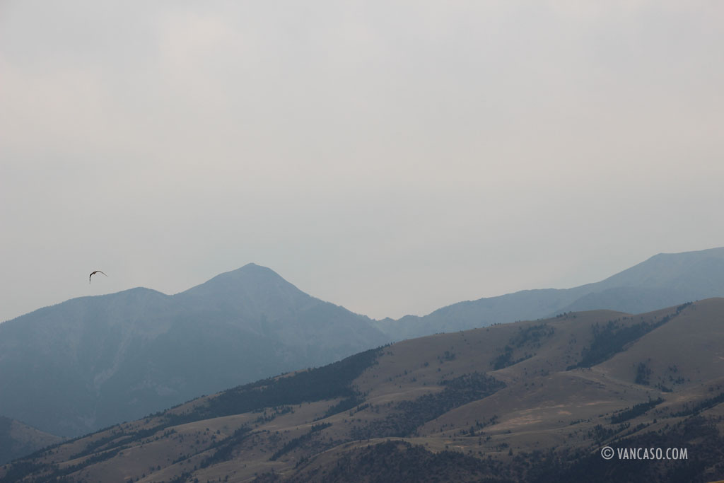 Montana, USA