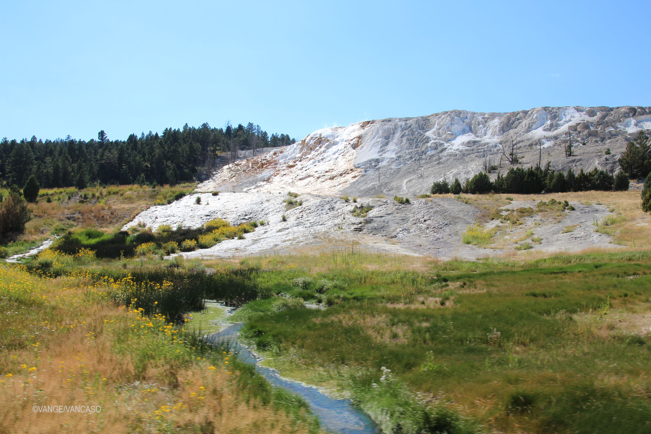 Geysers at Yellowstone